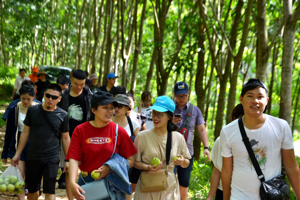 Kết nối đưa khách đến Nam Đông