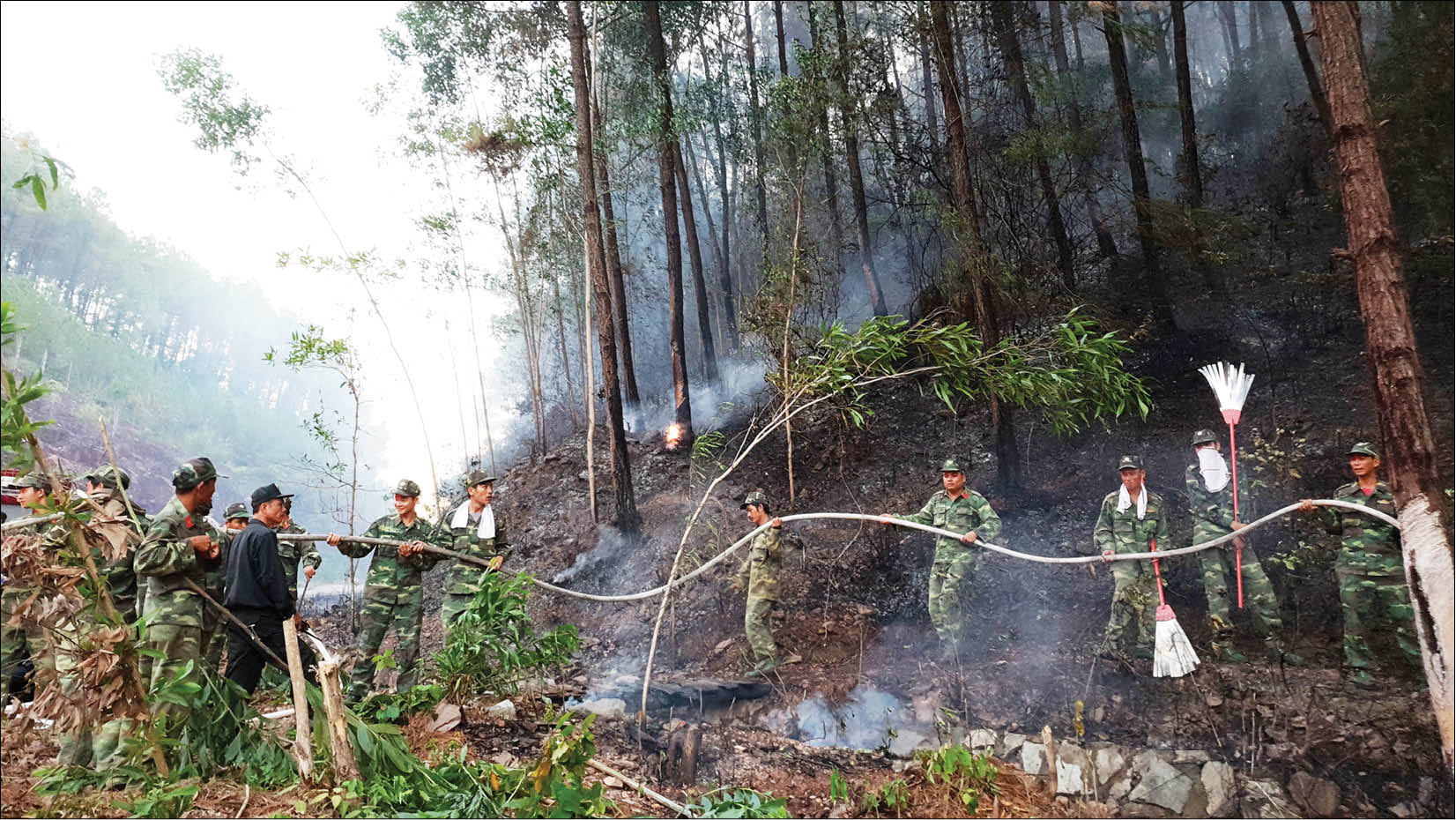 Từ vụ cháy rừng thông ở Hương Hồ