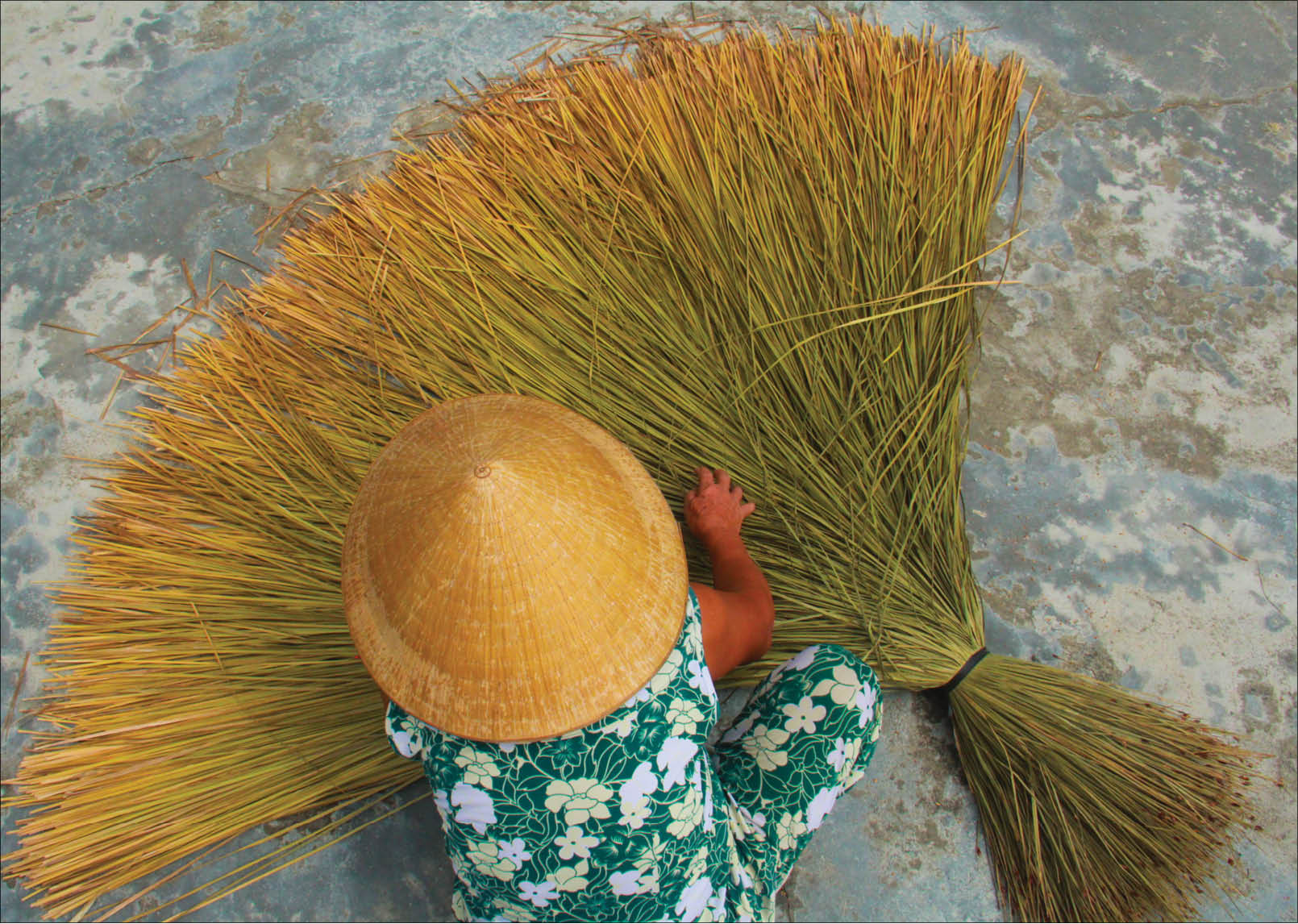 Sứ mệnh của đốt tre, cọng cỏ