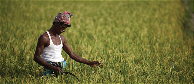 5 cách thúc đẩy thương mại cho các nước nghèo nhất thế giới