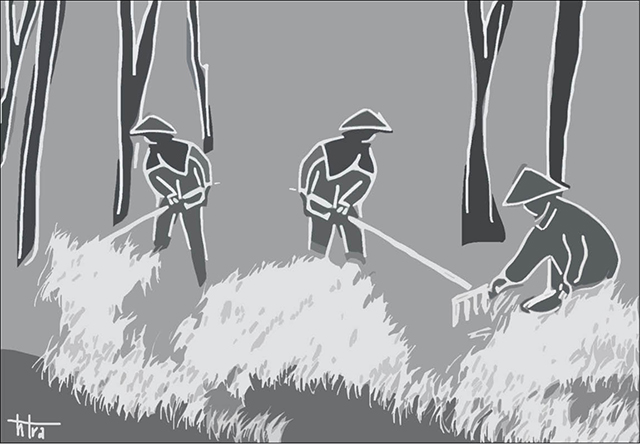 Một thời kiếm củi