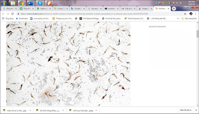 Đông Nam Á Lây lan sốt rét đa kháng thuốc