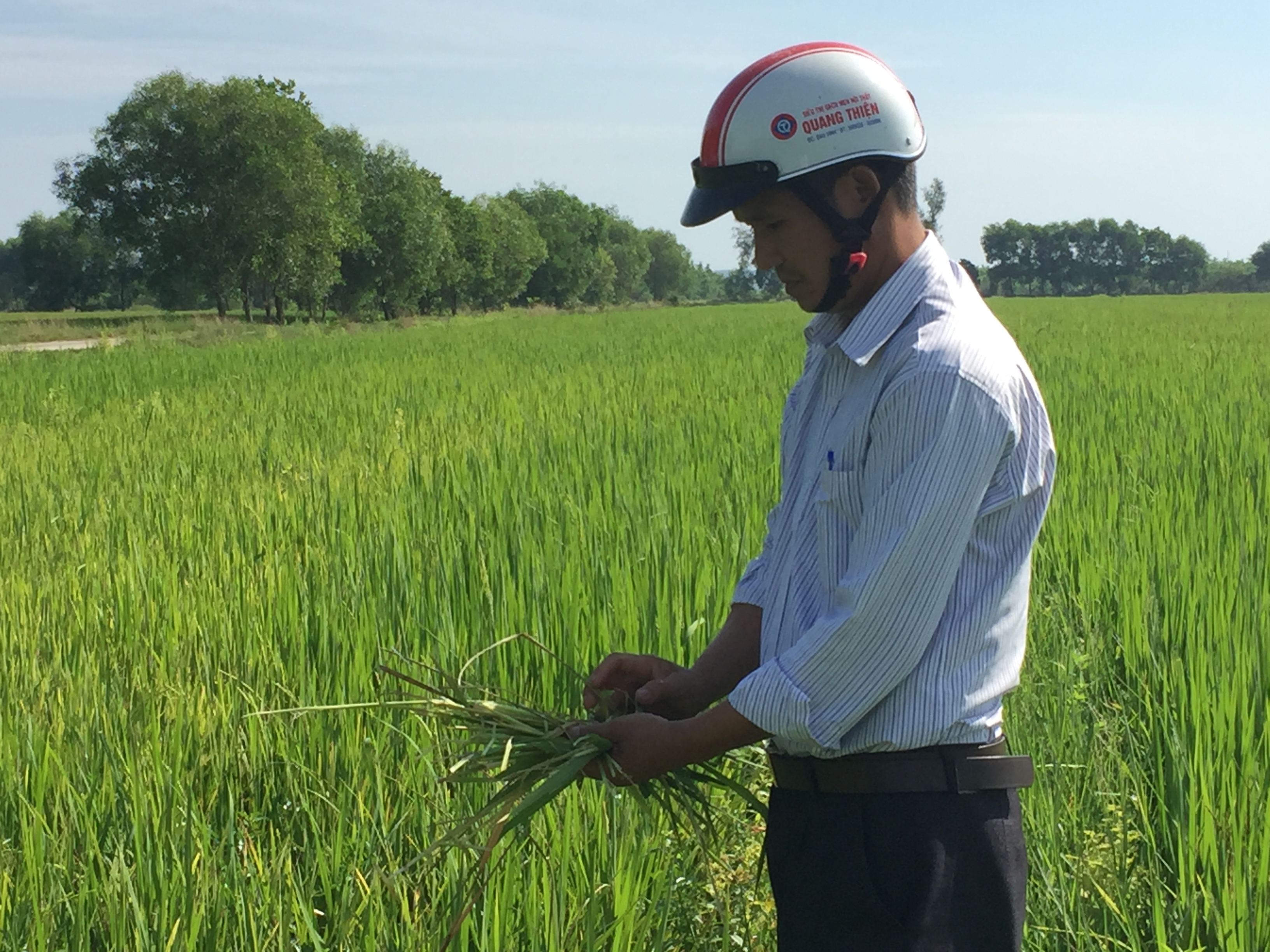 Hạn chế phương pháp dùng bẫy điện diệt chuột