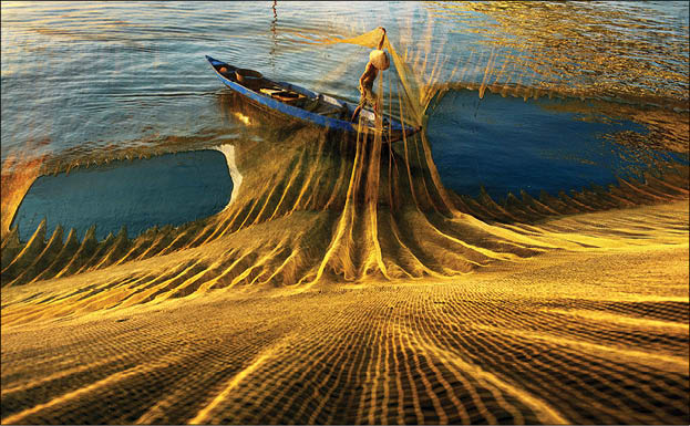 Hue becomes more beautiful through the lens of photographers