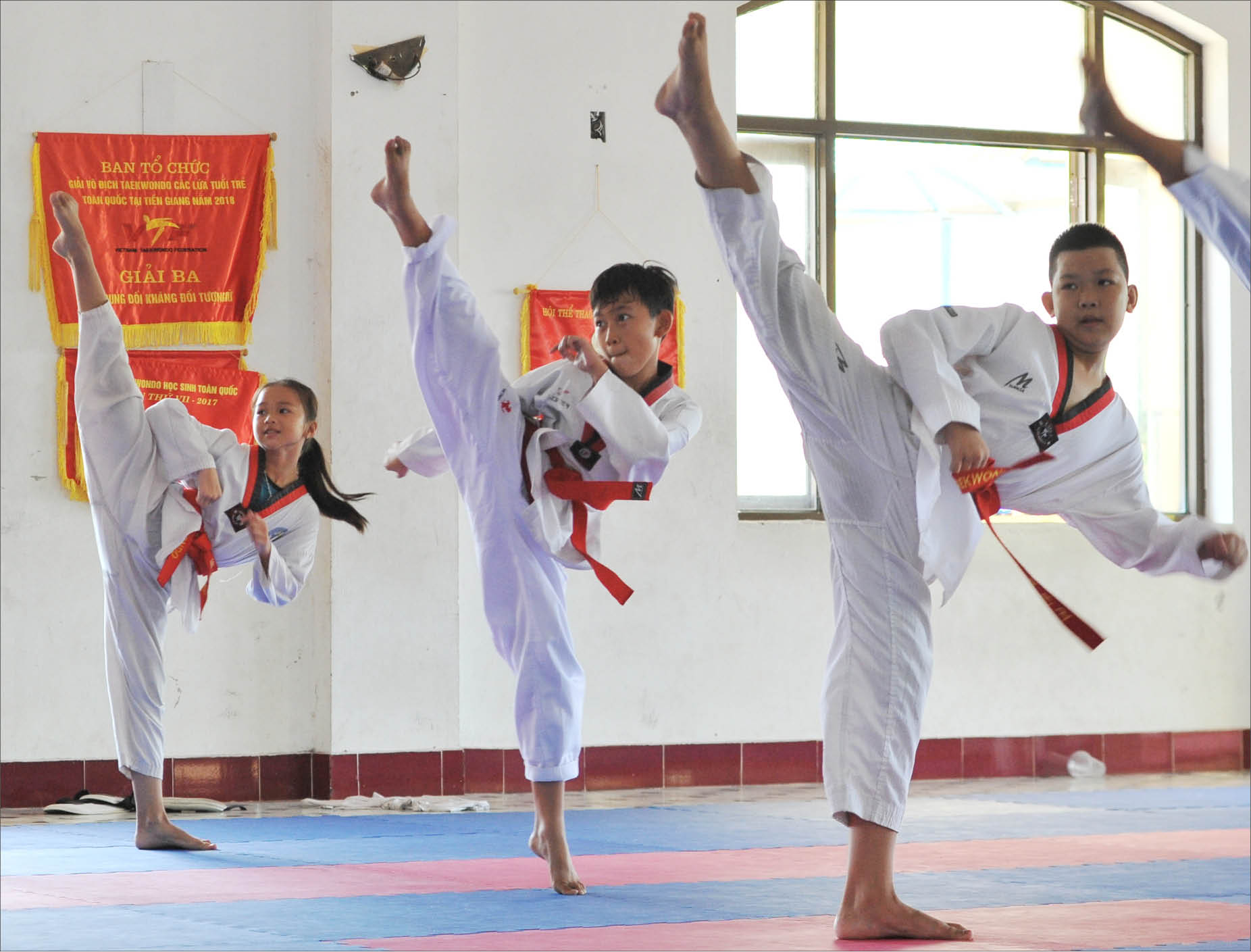 Taekwondo  câu chuyện đường dài