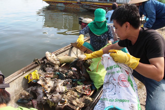 Phát động cuộc thi sáng tác ca khúc hưởng ứng phong trào ngày Chủ nhật xanh