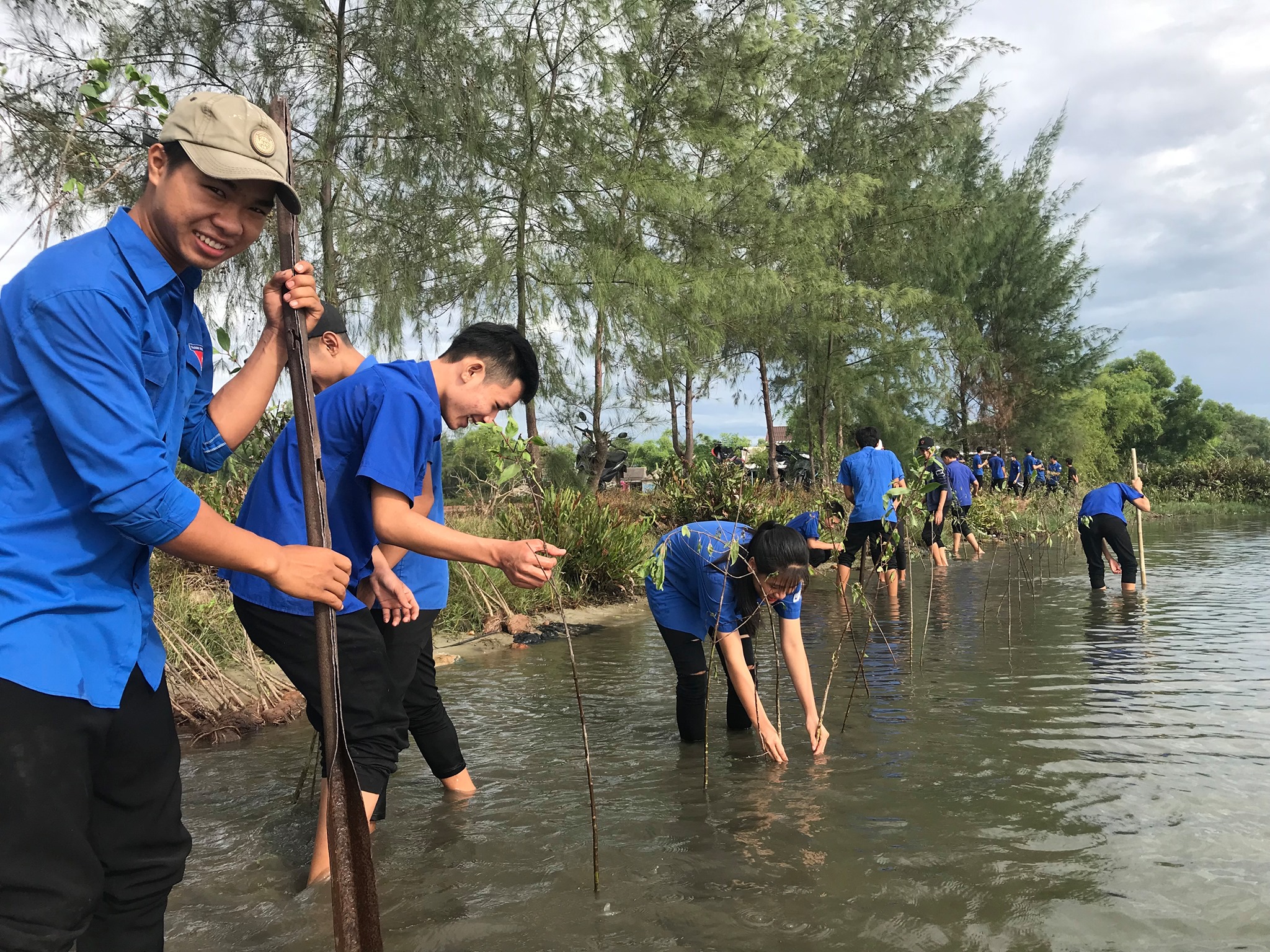 Trồng 10 000 cây rừng ngập mặn hưởng ứng Chủ nhật xanh