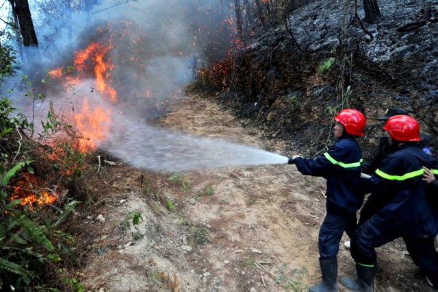 Người dân viết thư cảm ơn lực lượng phòng cháy chữa cháy và cứu nạn cứu hộ