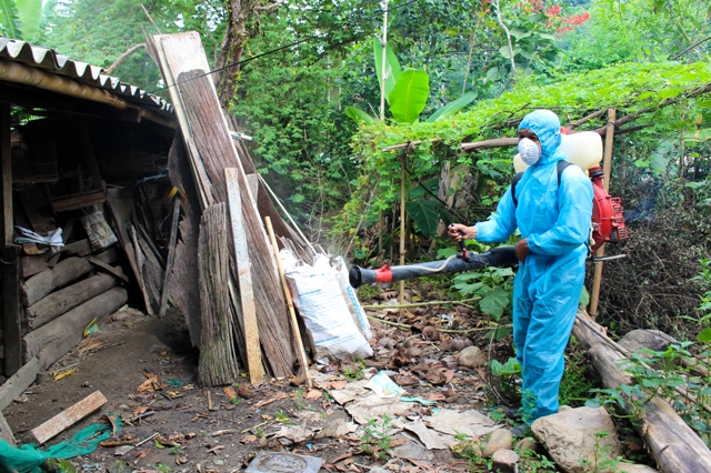 Áp dụng nhiều biện pháp khống chế sốt xuất huyết bùng phát