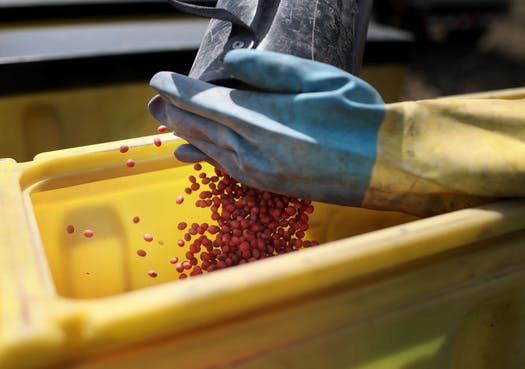 Nông dân Mỹ tìm kiếm thị trường mới sau khi Trung Quốc giảm nhập khẩu