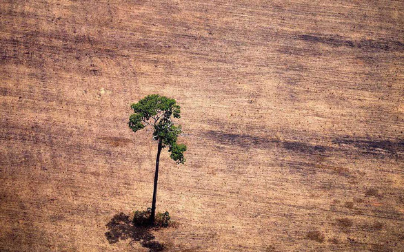 Đổi cách ăn uống, loài người sẽ tránh được ngày phán quyết cuối cùng