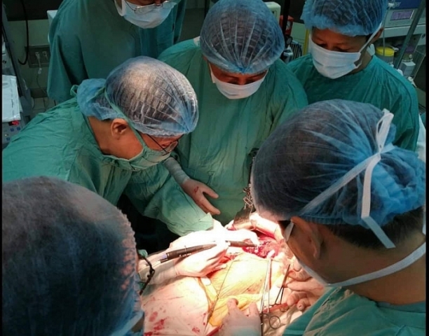 Training professional techniques in liver transplantation