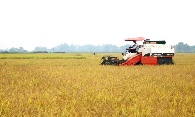 Xây dựng nông thôn mới gắn với tái cơ cấu nông nghiệp