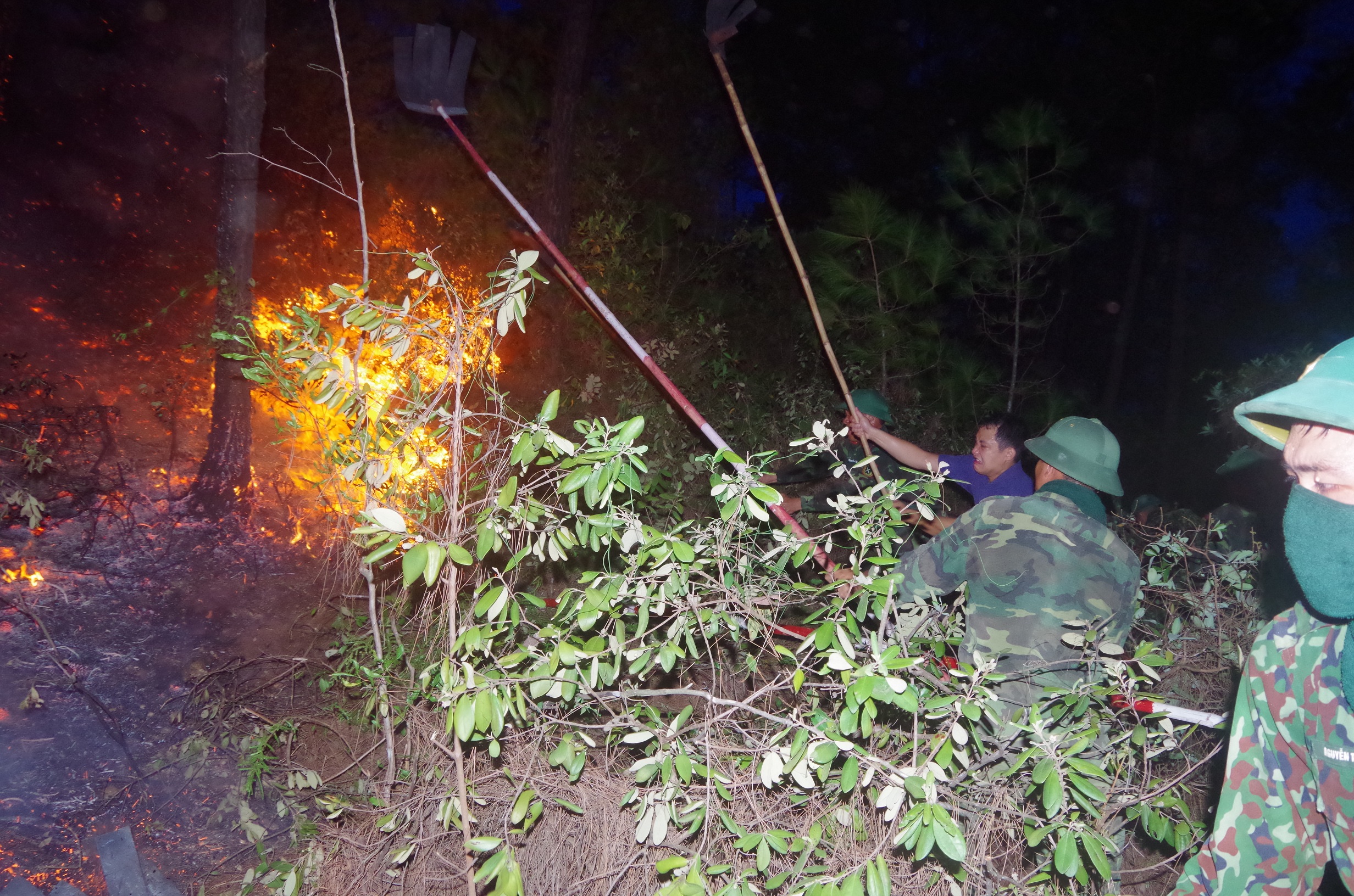 Giúp dân dập lửa cứu rừng