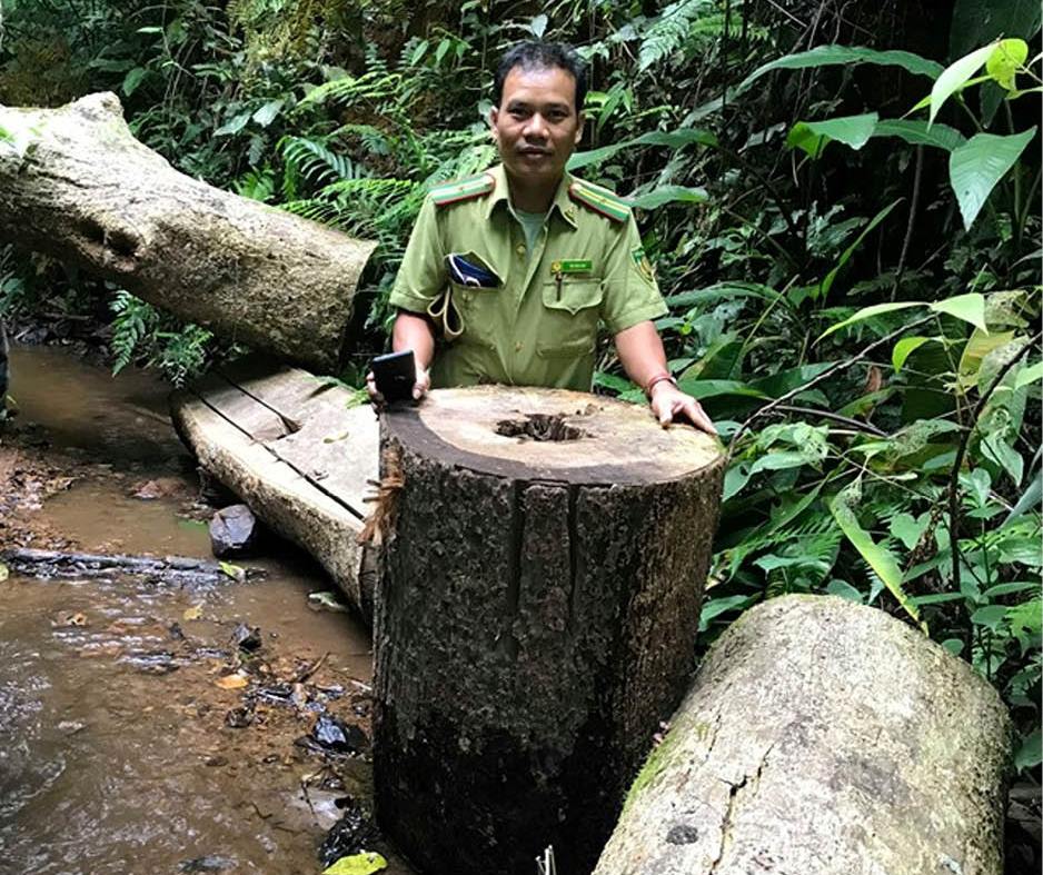 Vào cuộc xử lý vụ phá rừng ở Hồng Trung