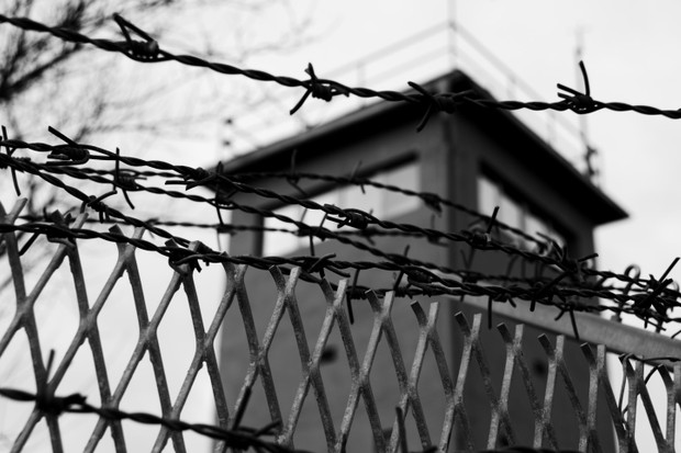 Đức, Hungary kỷ niệm 30 sự kiện Picnic toàn Âu