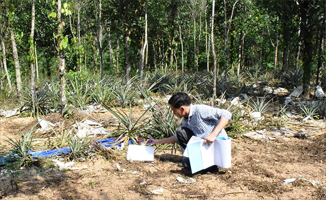 Đẩy nhanh tiến độ giải phóng mặt bằng đường Cam Lộ - La Sơn