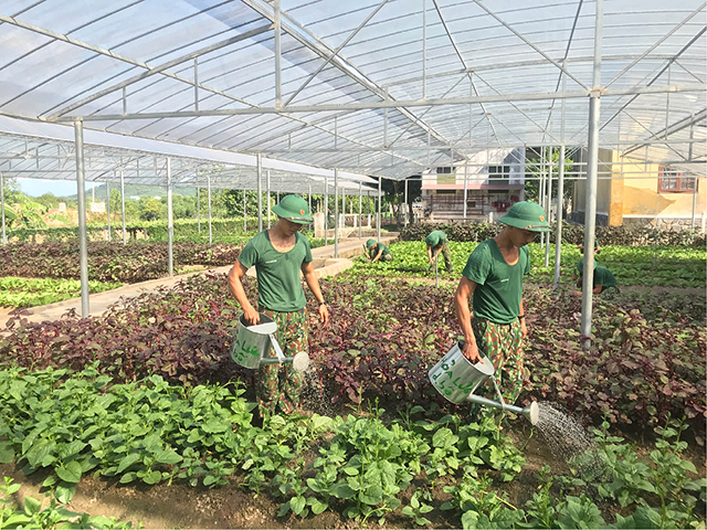 Tăng gia cải thiện đời sống