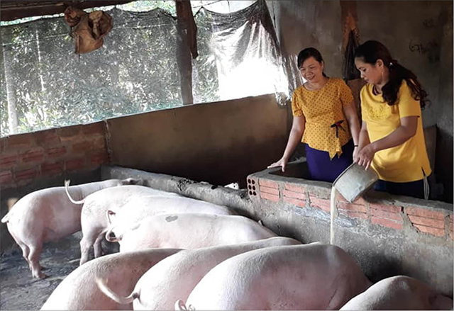 Chị Mây làm kinh tế