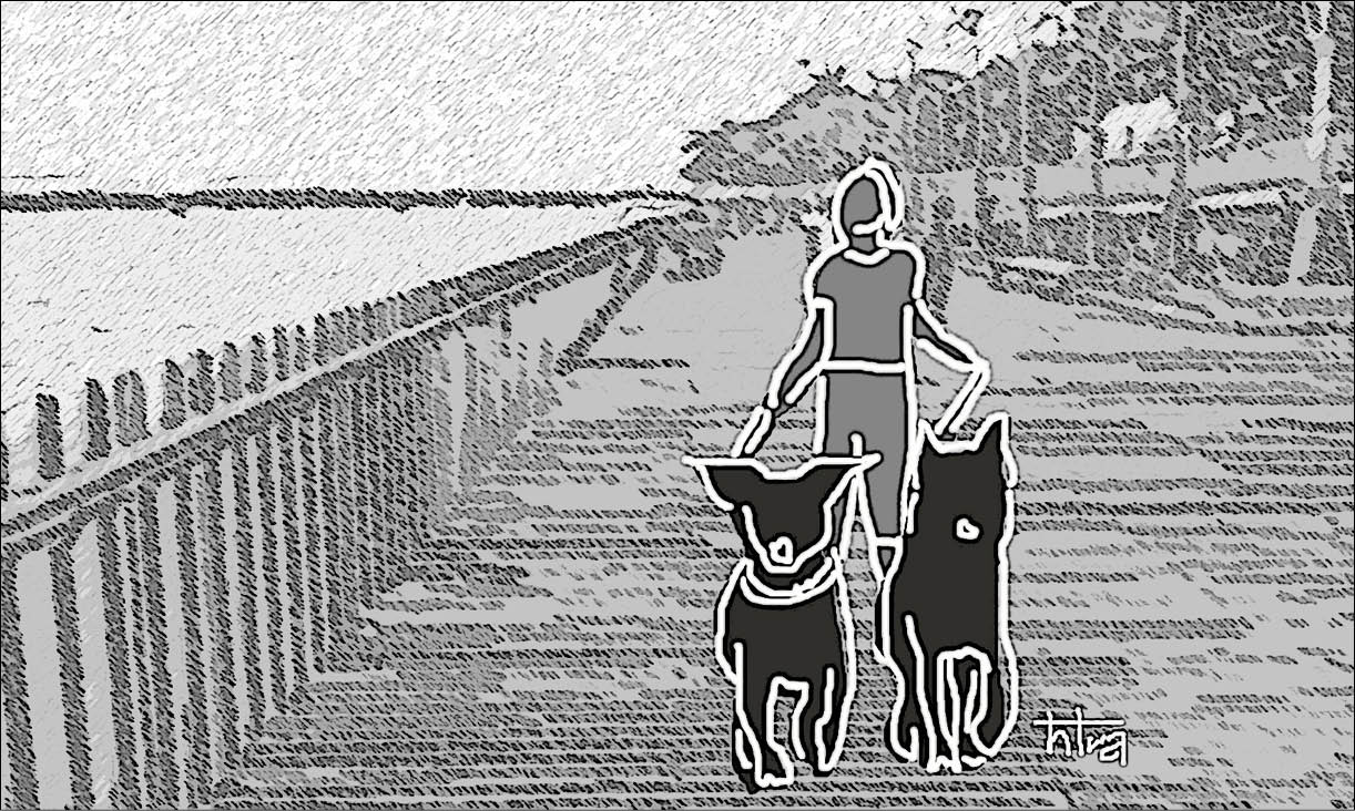 Những hình ảnh chưa đẹp