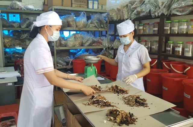 Chia sẻ kinh nghiệm trong khám, điều trị y học cổ truyền