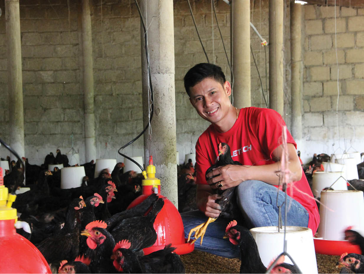 Khởi nghiệp từ gà