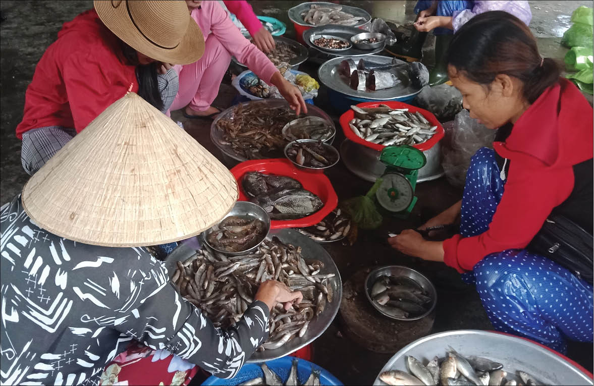 Mùa cá nhảy