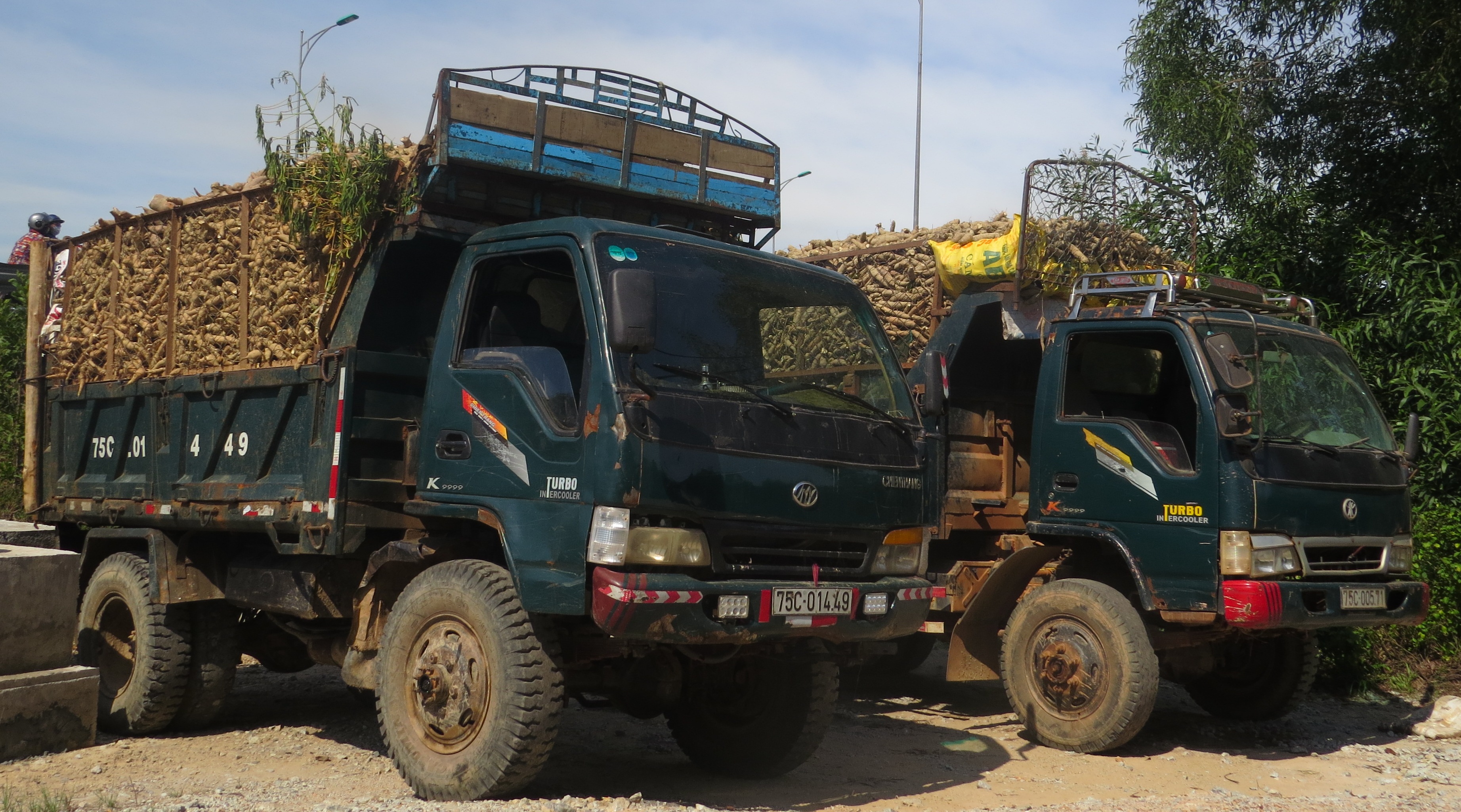 Tăng công suất thu mua sắn chạy lũ