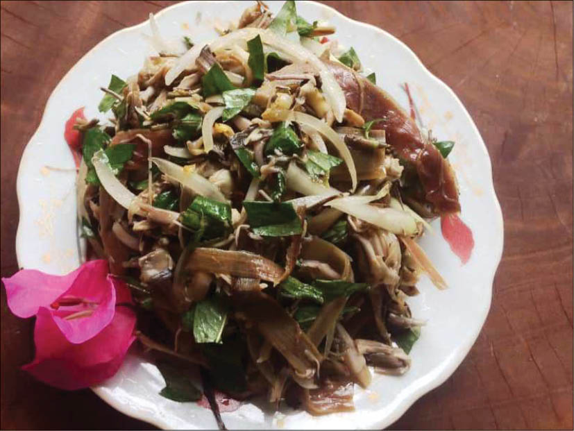 Gà “trên cây”