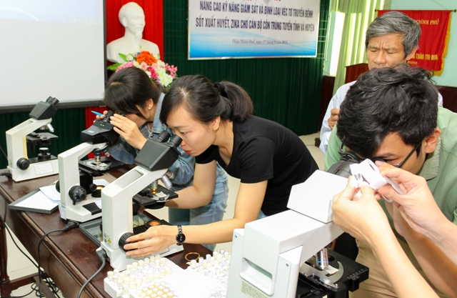 Tập huấn kỹ năng giám sát và định loại véc tơ truyền bệnh sốt xuất huyết