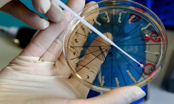 Lo sốt vó vì phòng thí nghiệm chứa virus đậu mùa, Ebola bị cháy