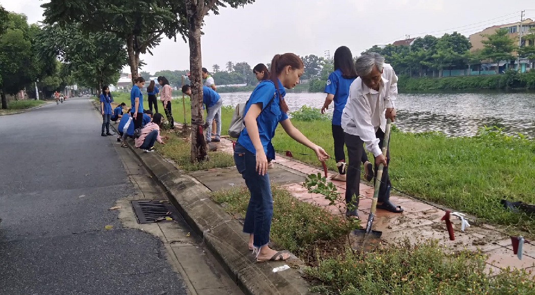 Trồng 200 cây hoa tường vy ở phường Tây Lộc