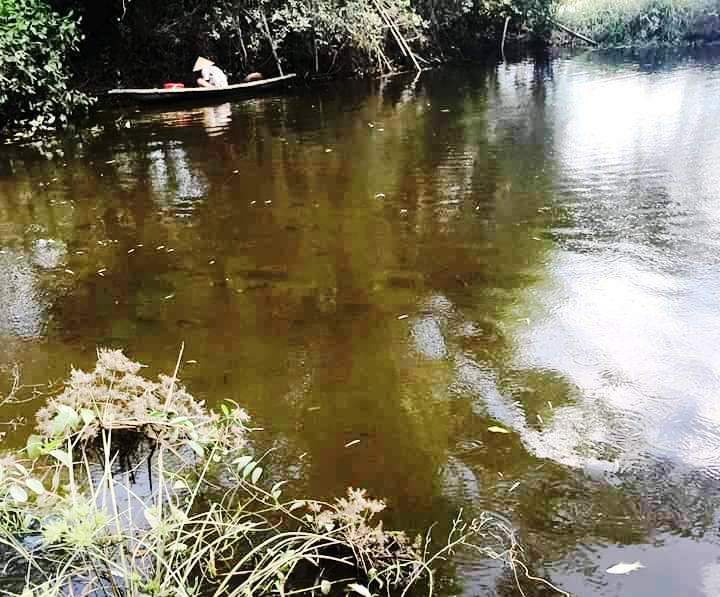 Kiểm tra và lấy mẫu nước thải Nhà máy tinh bột sắn Fococev