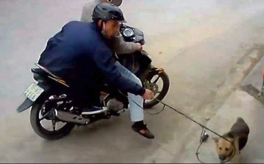 Công an huyện Nam Đông cảnh báo các thủ đoạn trộm cắp chó