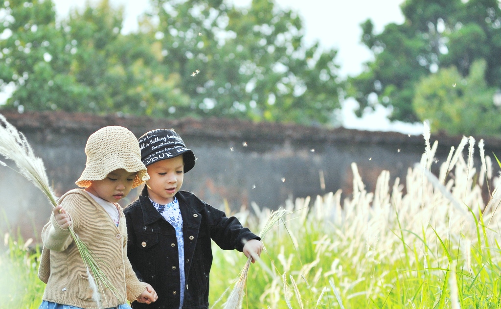 Khoảnh khắc cùng hoa tranh