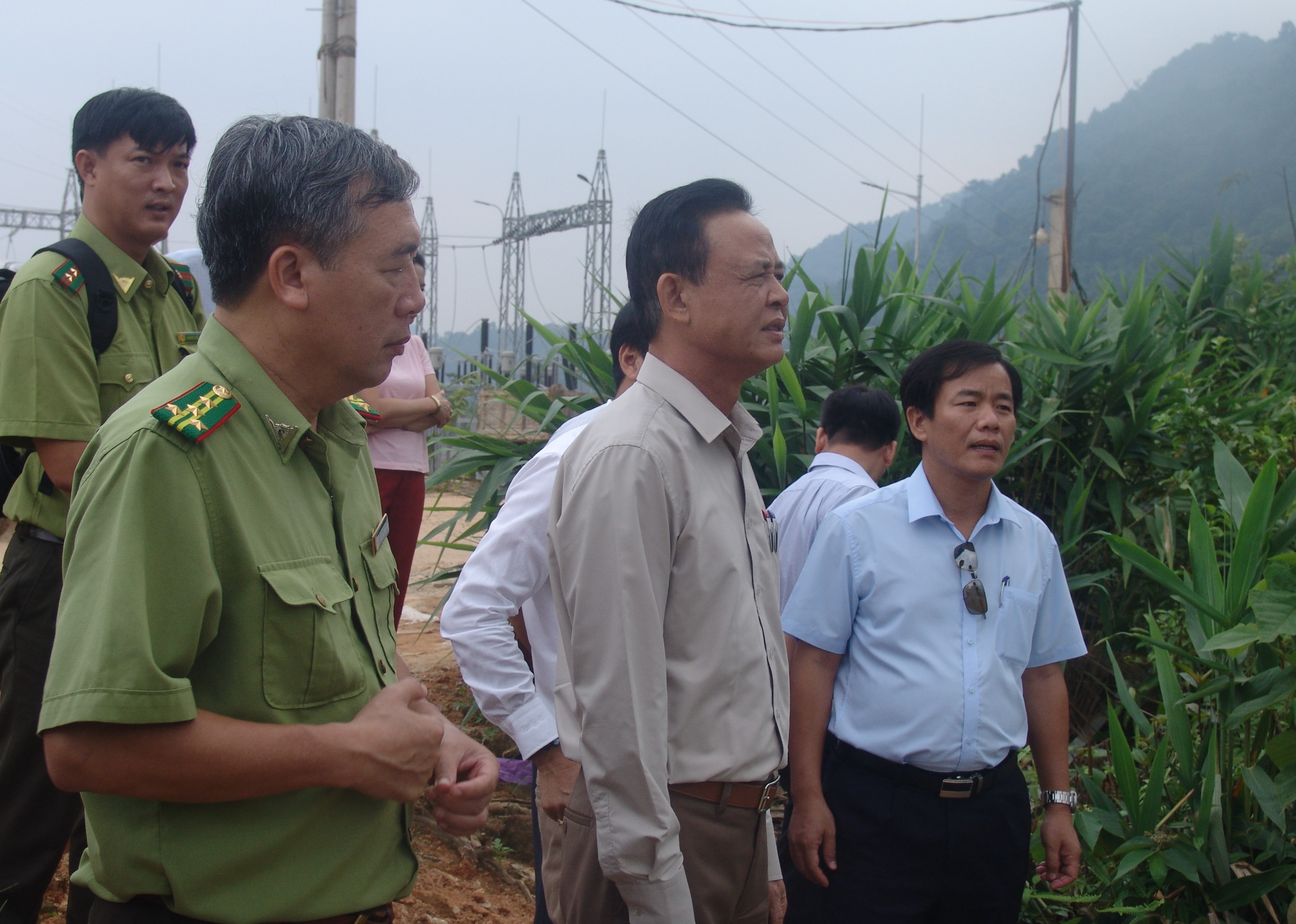 Cần tháo gỡ vướng mắc các thủ tục chuyển mục đích sử dụng rừng