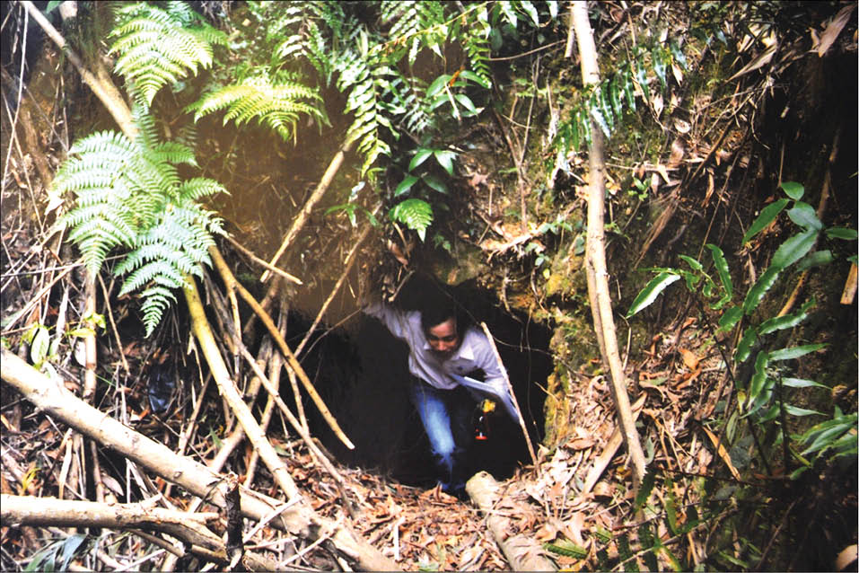 Cần phát huy giá trị địa đạo An Hô