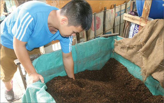 Khởi nghiệp với vỏ đậu vi sinh