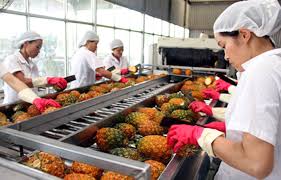 Xử lý phản ánh rất ít DN trong nước được hưởng chính sách ưu đãi