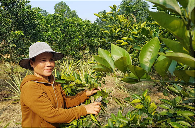 Người phụ nữ Cơ Tu năng động