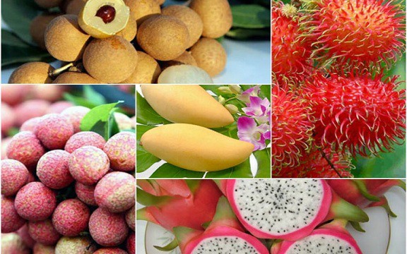 Chuyên gia kinh tế chỉ ra nhiều điểm nghẽn của nông sản Việt