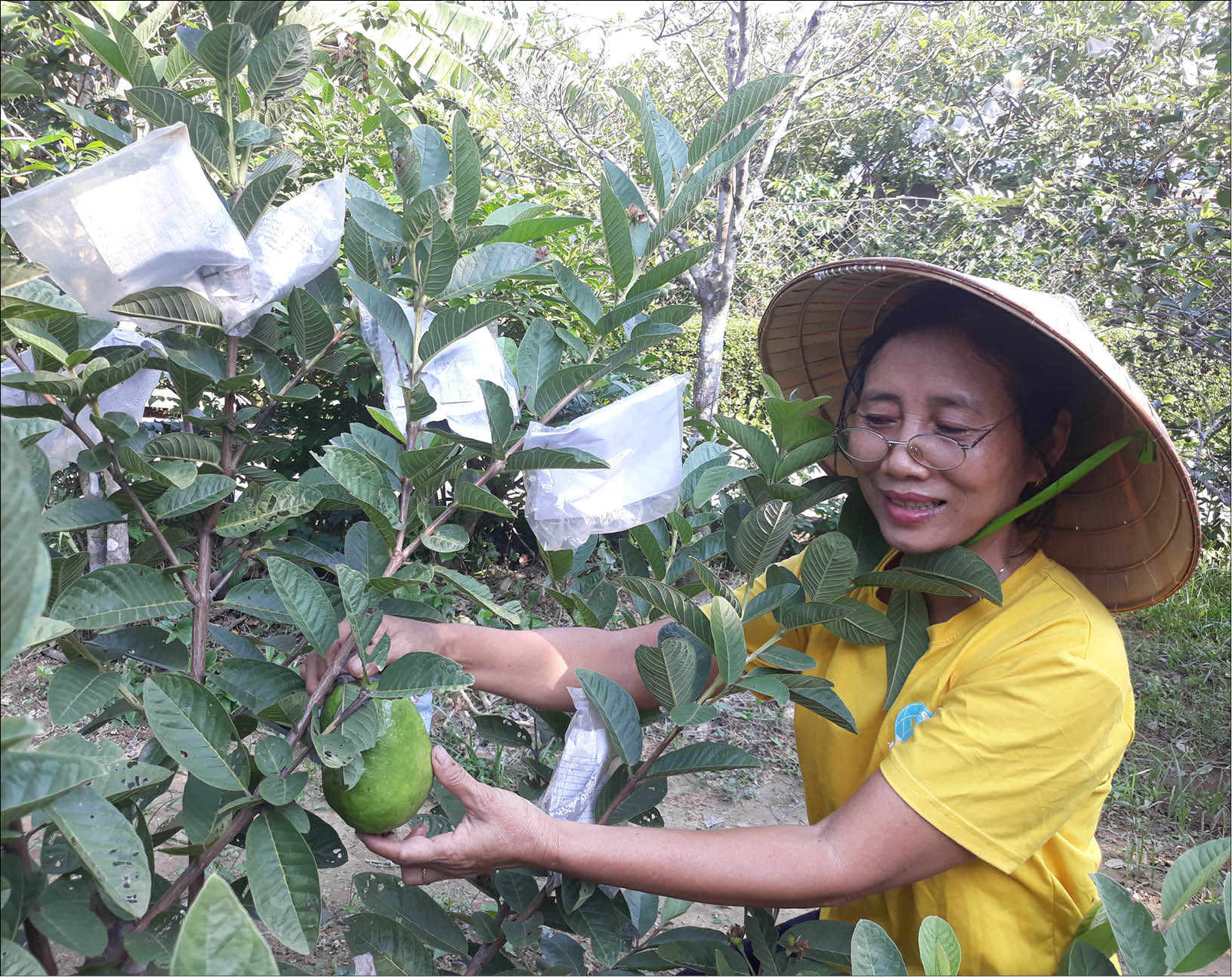Chị Hoa “hai giỏi”
