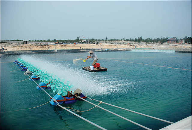 Động lực từ phong trào nông dân sản xuất giỏi