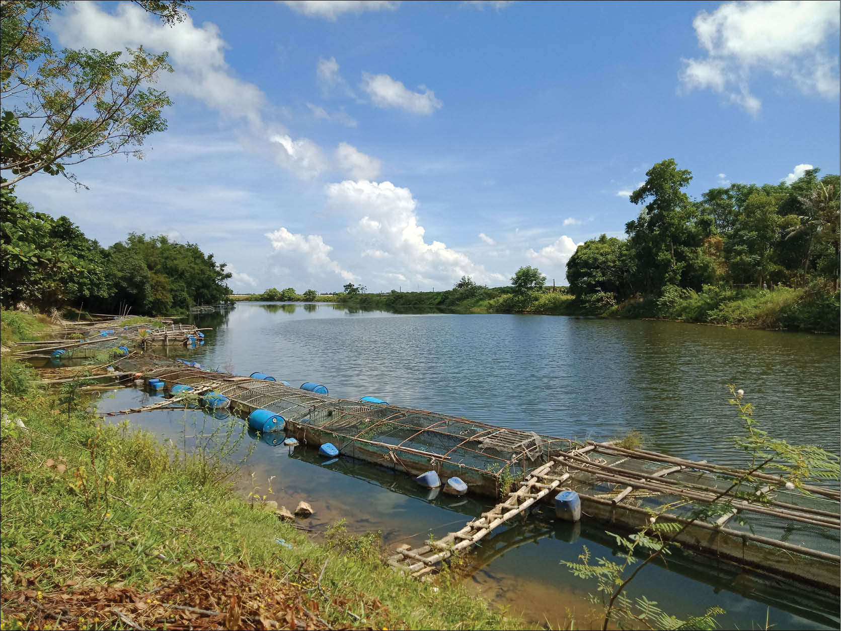 Ký ức dòng sông chết