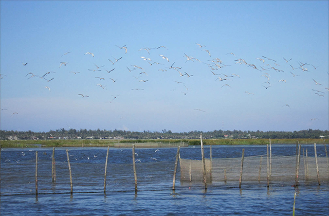 Harmony between conservation and development
