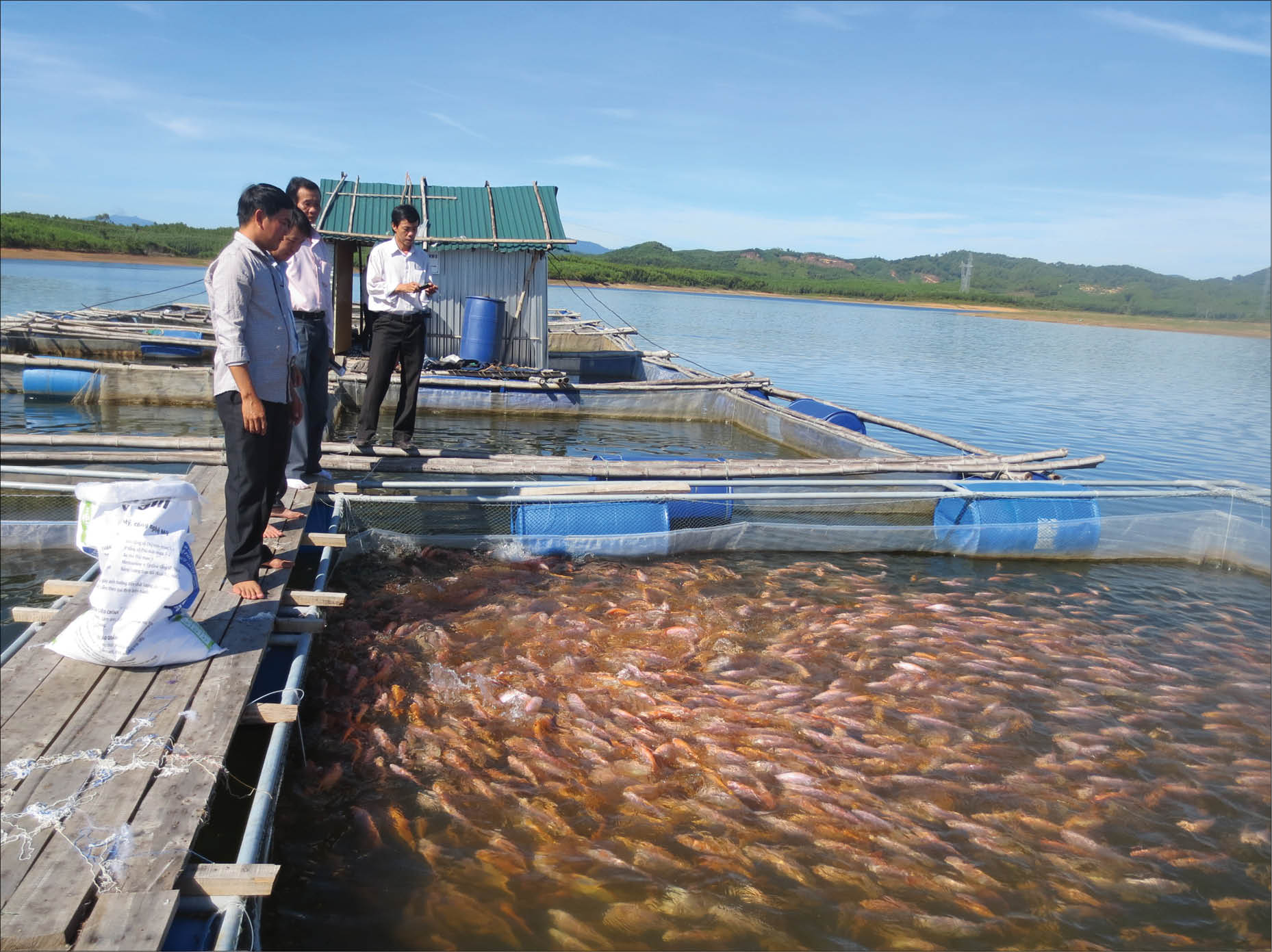 “Miếng bánh” cho người nông dân đã lớn hơn