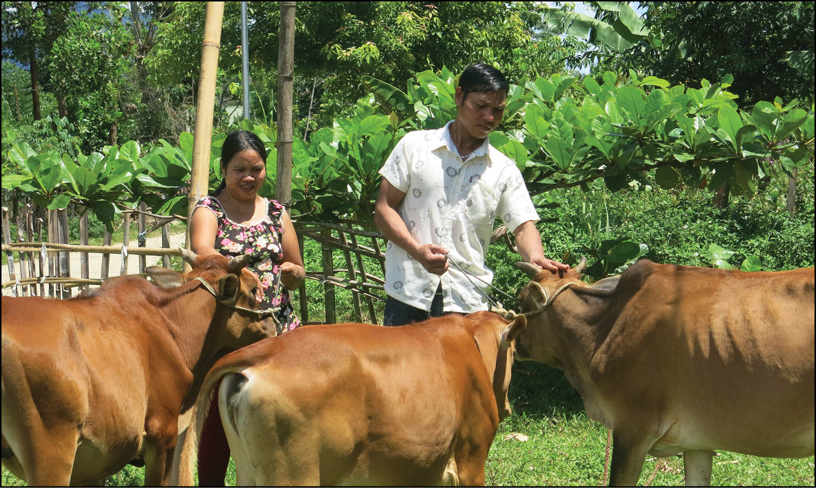 Chủ động thoát nghèo