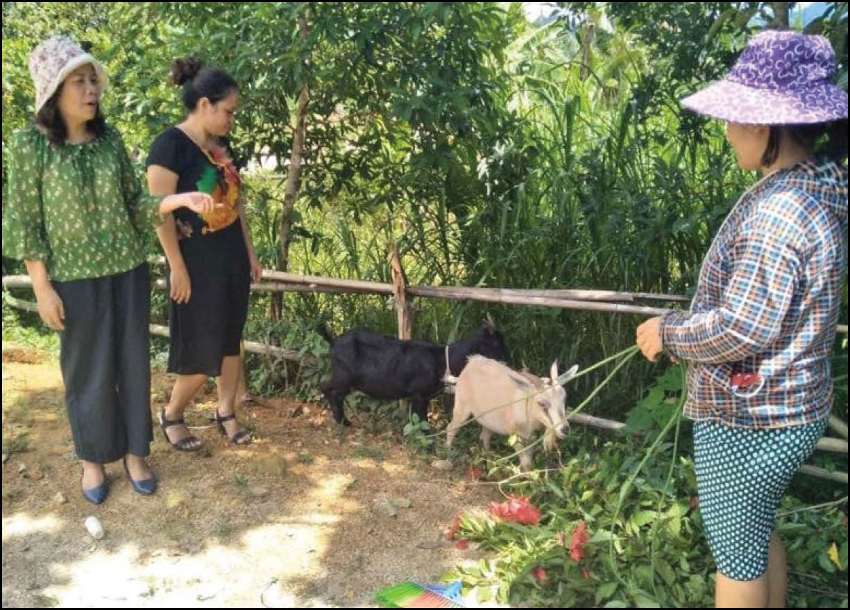 Trao sinh kế, tạo động lực phát triển kinh tế
