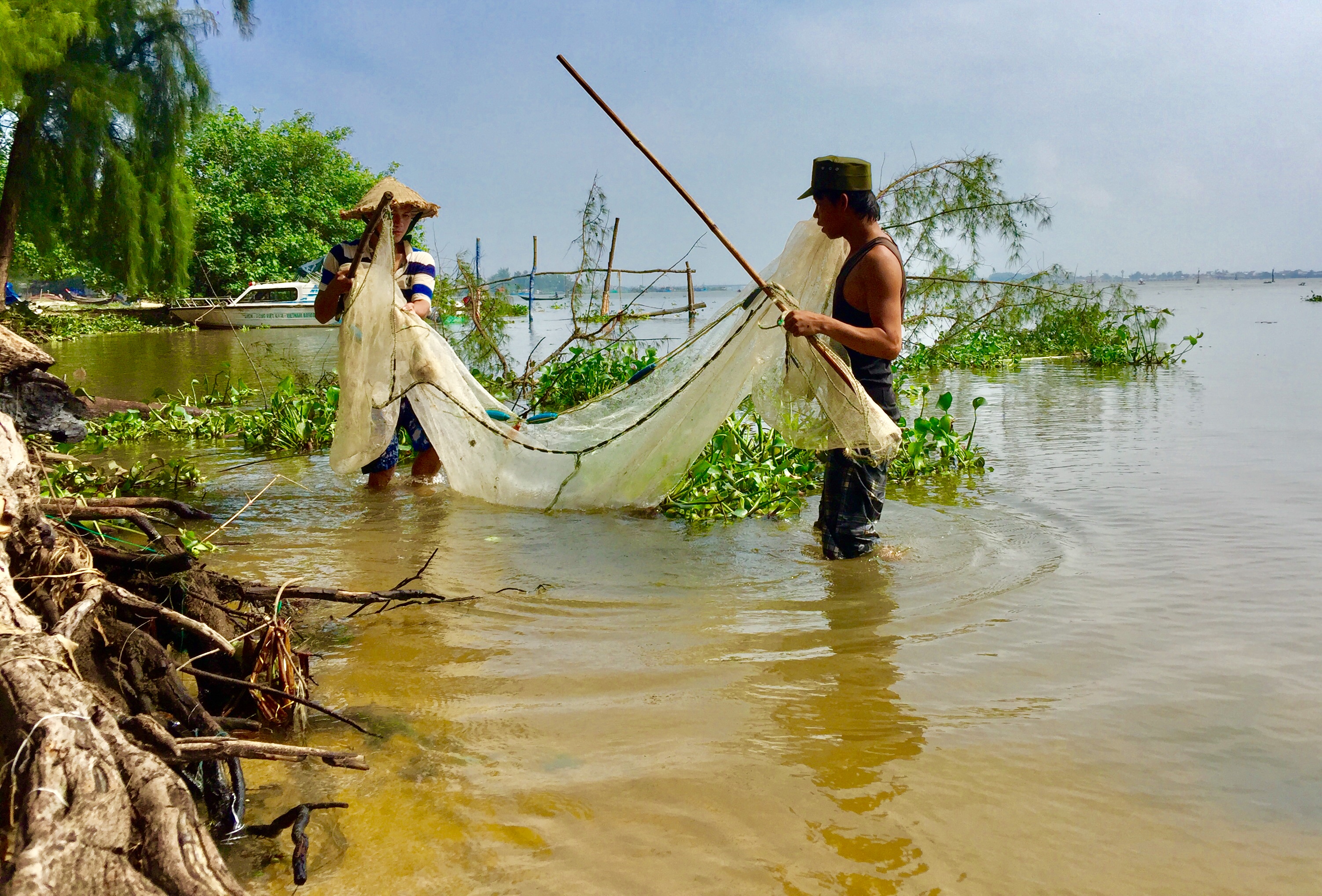 Đi săn cá giống