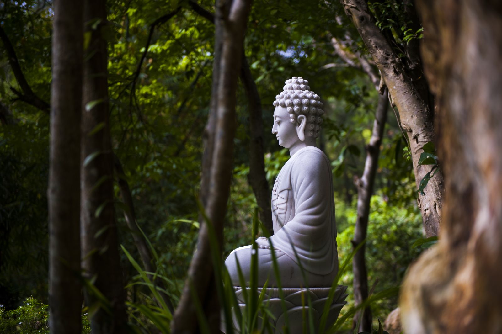 Peaceful meditation place